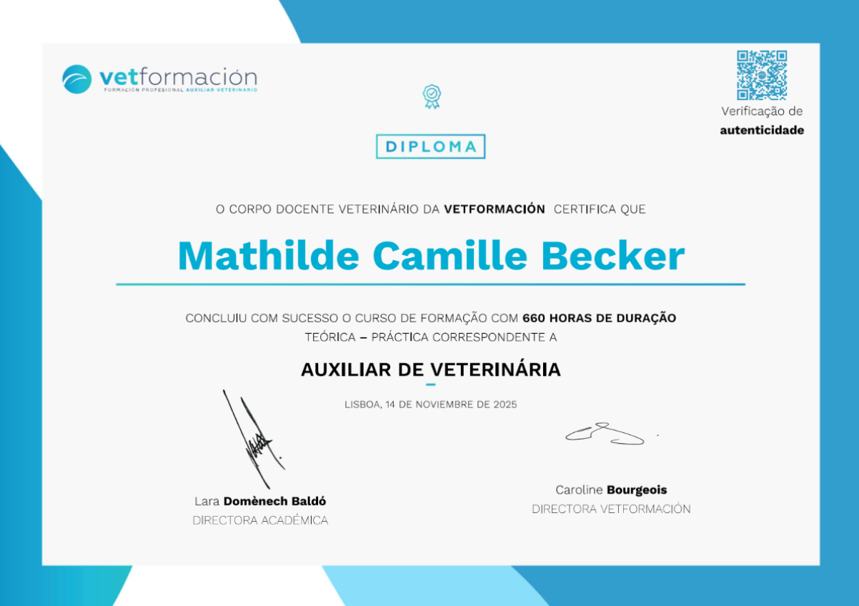 professional petsitter